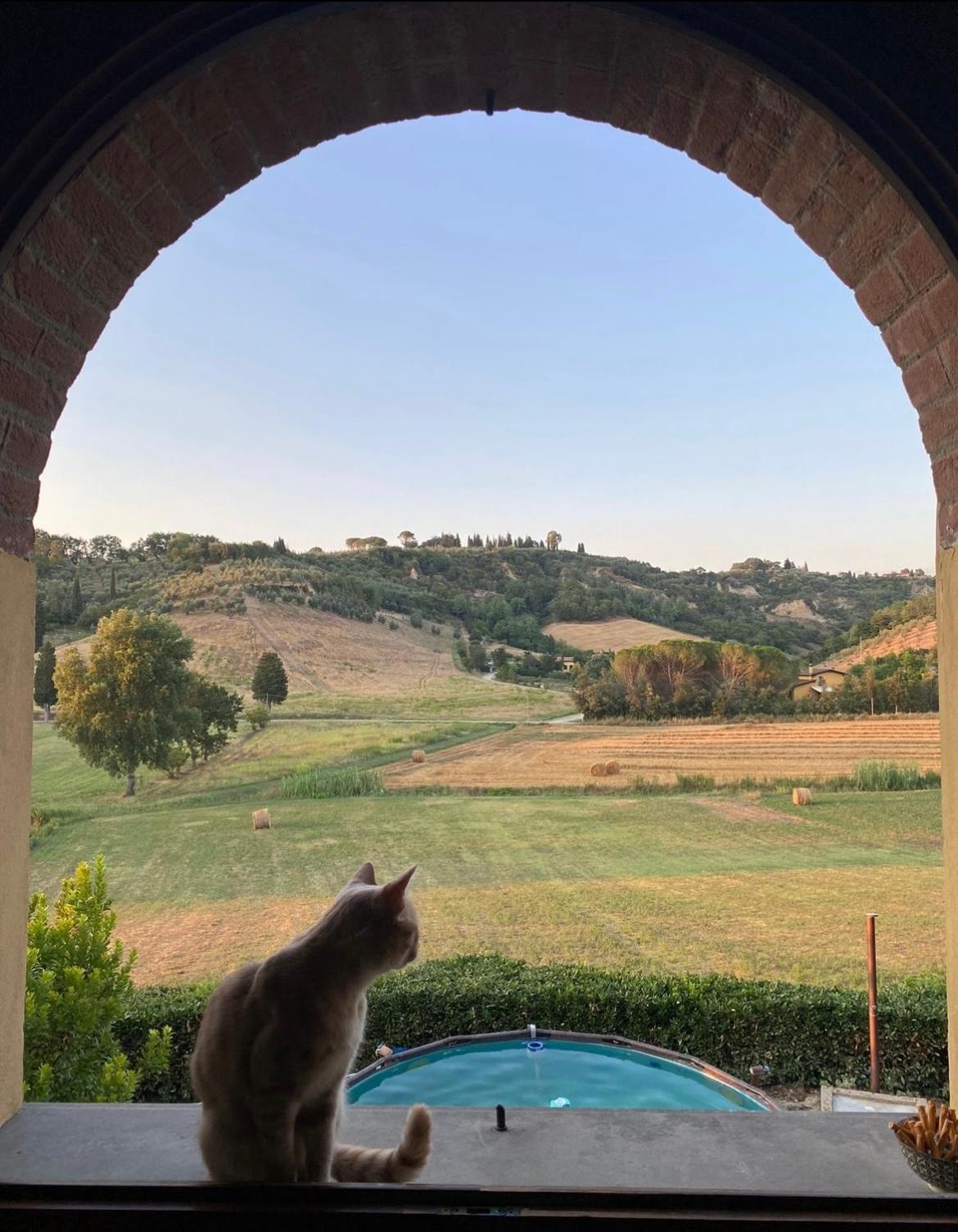 New Immersed In Nature With Pool Apartment San Miniato